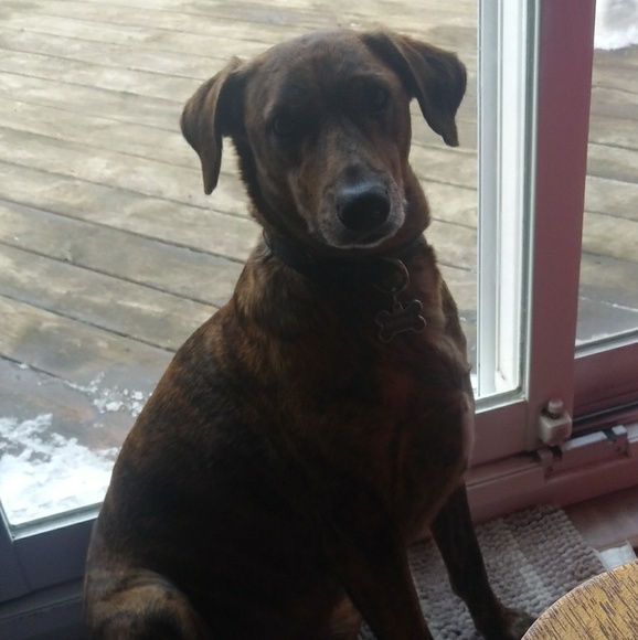 Meet your Posher, Ashley - Picture 1 of 1